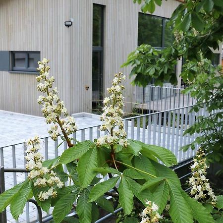 Appartamento Klemmbachidyll Badenweiler Esterno foto