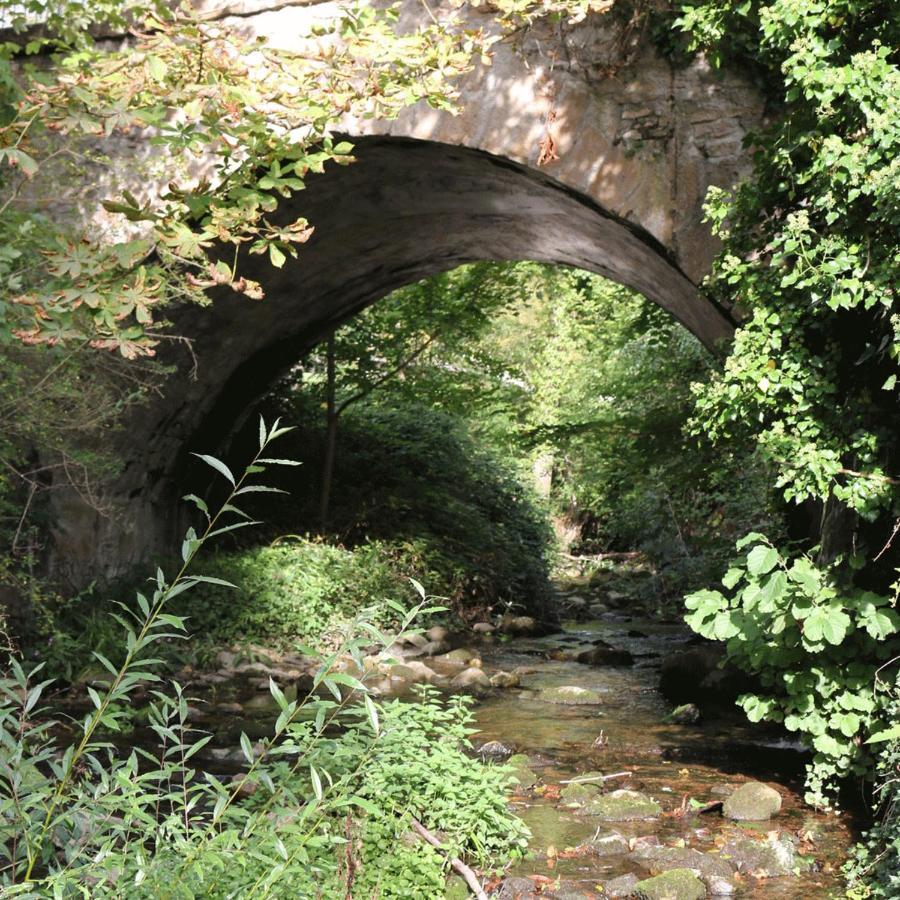 Appartamento Klemmbachidyll Badenweiler Esterno foto